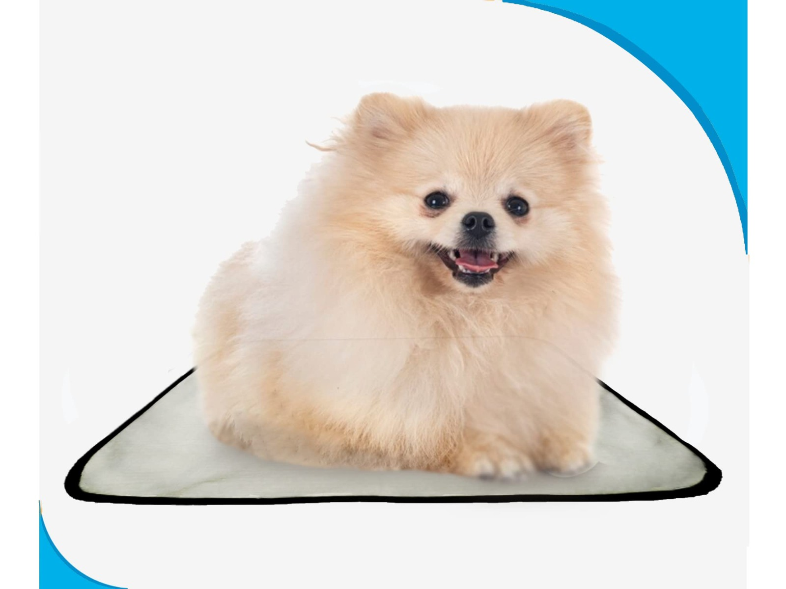 Tapete para os cachorros